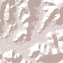 Rolante Terrain Map