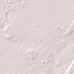Bonpland Terrain Map