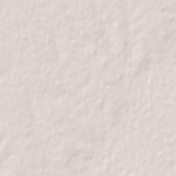 San José de Feliciano Terrain Map