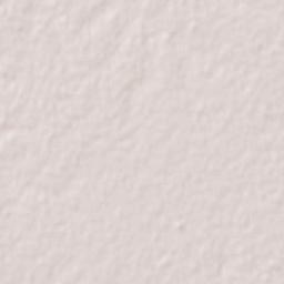 Los Conquistadores Terrain Map