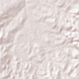 San Carlos Terrain Map
