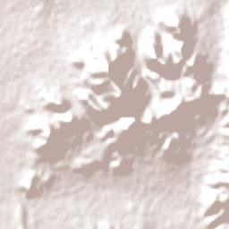 Werris Creek Terrain Map