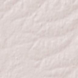 San Salvador Terrain Map