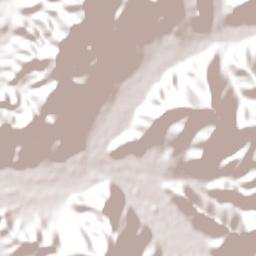 Salamanca Terrain Map