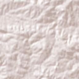 Vichadero Terrain Map