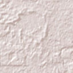 The Vines Terrain Map