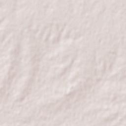 Viale Terrain Map