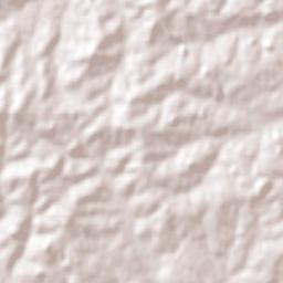 Pedro Osório Terrain Map