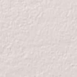 Departamento de San Javier Terrain Map