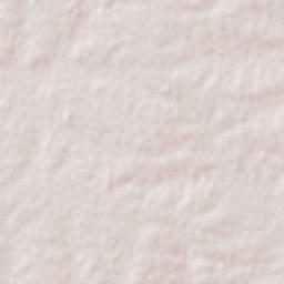 Villa Elisa Terrain Map