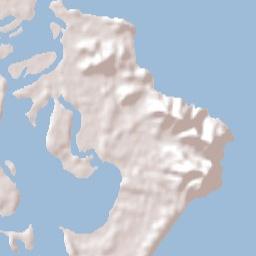 Forster Terrain Map