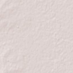 Rosario del Tala Terrain Map