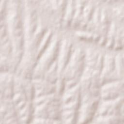 Estación Porvenir Terrain Map