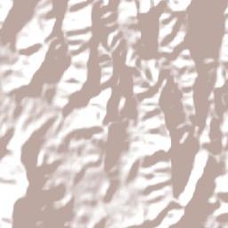 Dungog Terrain Map