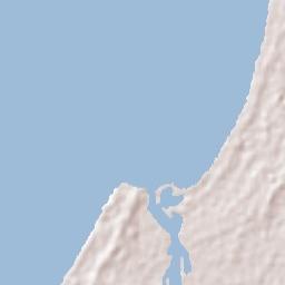 Halls Head Terrain Map