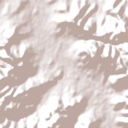 Muswellbrook Terrain Map