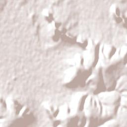 Port Augusta Terrain Map