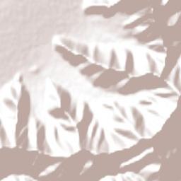 Panquehue Terrain Map