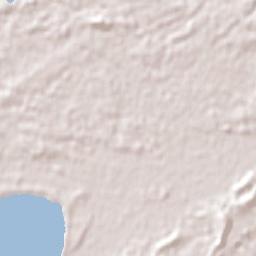 Williamtown Terrain Map
