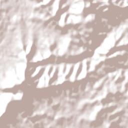 West Wallsend Terrain Map