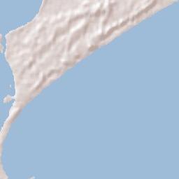 Fern Bay Terrain Map