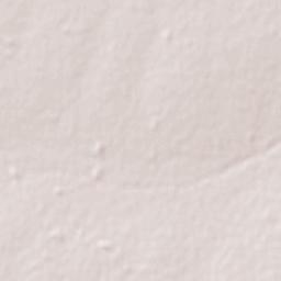 Los Surgentes Terrain Map