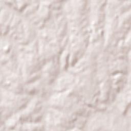 Villa del Carmen Terrain Map