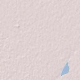 Chañar Ladeado Terrain Map