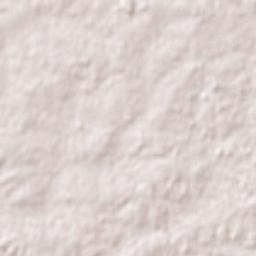 Santa Bernardina Terrain Map