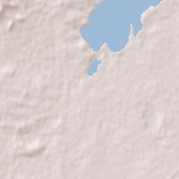 Lake Cargelligo Terrain Map