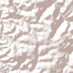 Dardanup Terrain Map