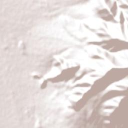 La Florida Terrain Map