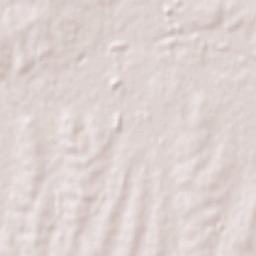 Dolores Terrain Map