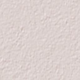 Coronel Moldes Terrain Map