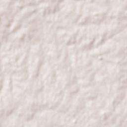 Santa Catalina Terrain Map