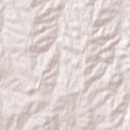 Alejandro Gallinal Terrain Map