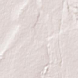 Departamento de San Carlos Terrain Map