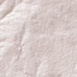 Jerramungup Terrain Map