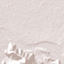 Rancagua Terrain Map