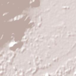 Coltauco Terrain Map