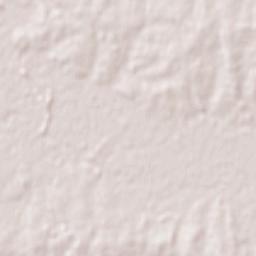 San Ramón Terrain Map