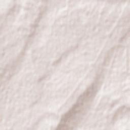 Maitland Terrain Map