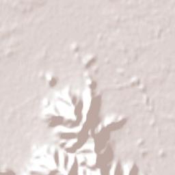 Peralillo Terrain Map