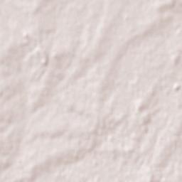 Puntas de Valdéz Terrain Map