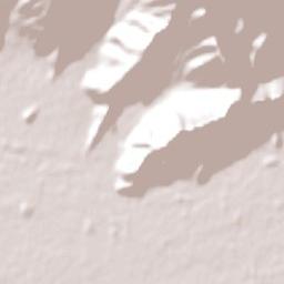 Nancagua Terrain Map