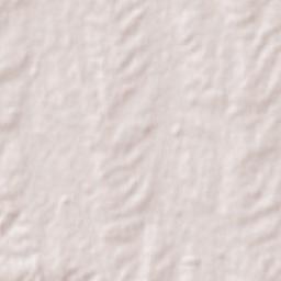 Progreso Terrain Map