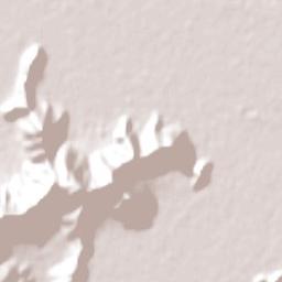 Chépica Terrain Map