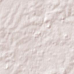 Pando Terrain Map