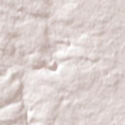 Albany Terrain Map