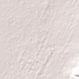 Elizabeth Grove Terrain Map